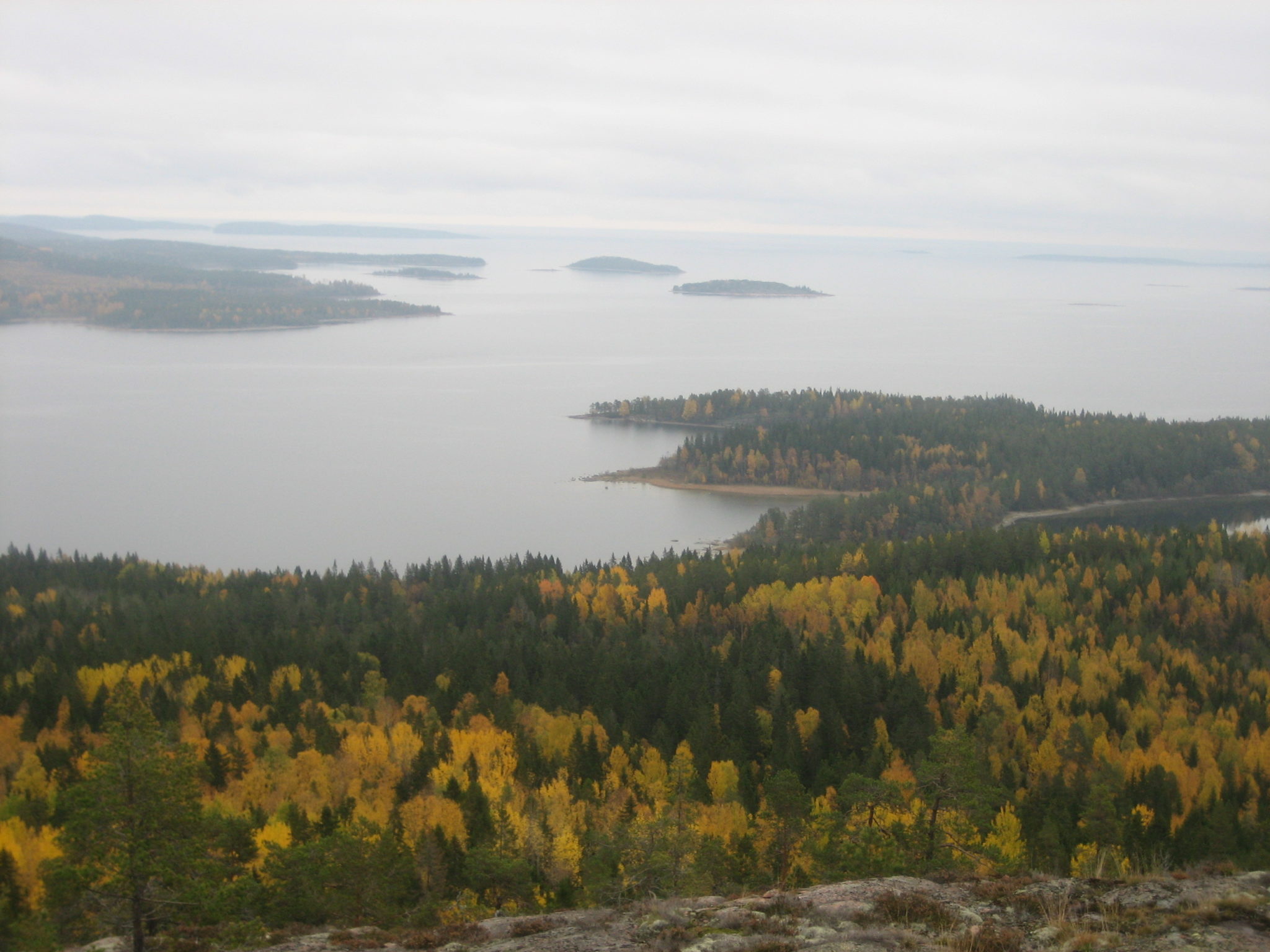 Höga Kusten Ävenflykter