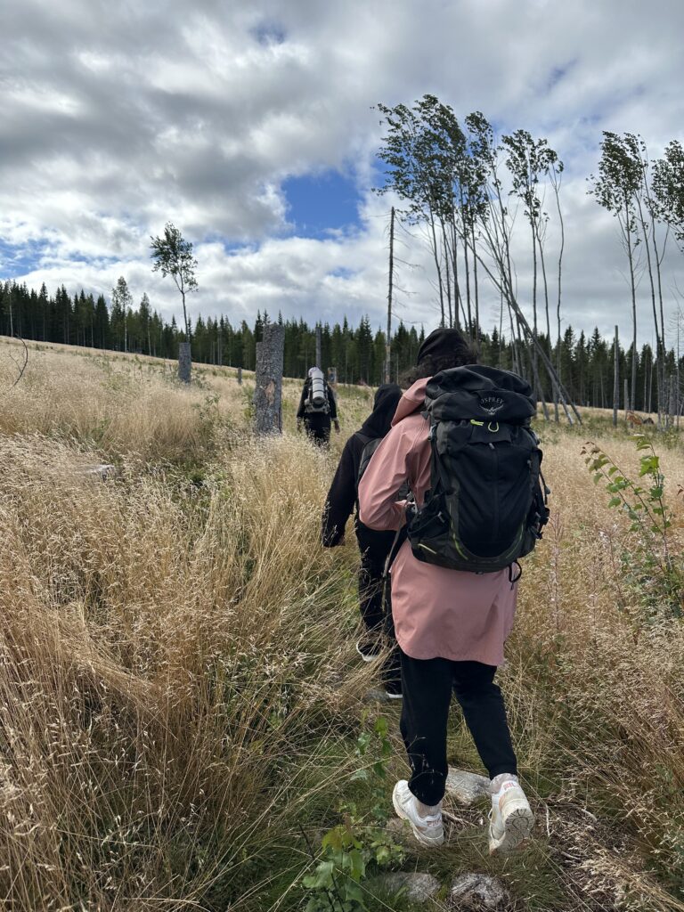 tavelsjöberget