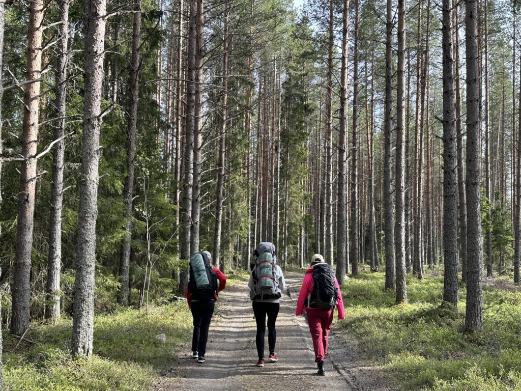 vandring i Umeå