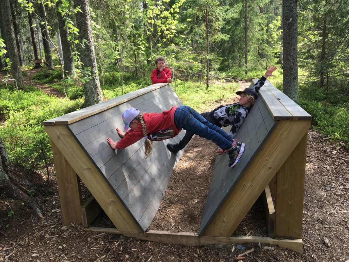 Ta barnen på en liten resa till Junsele djurpark - Ävenflykter