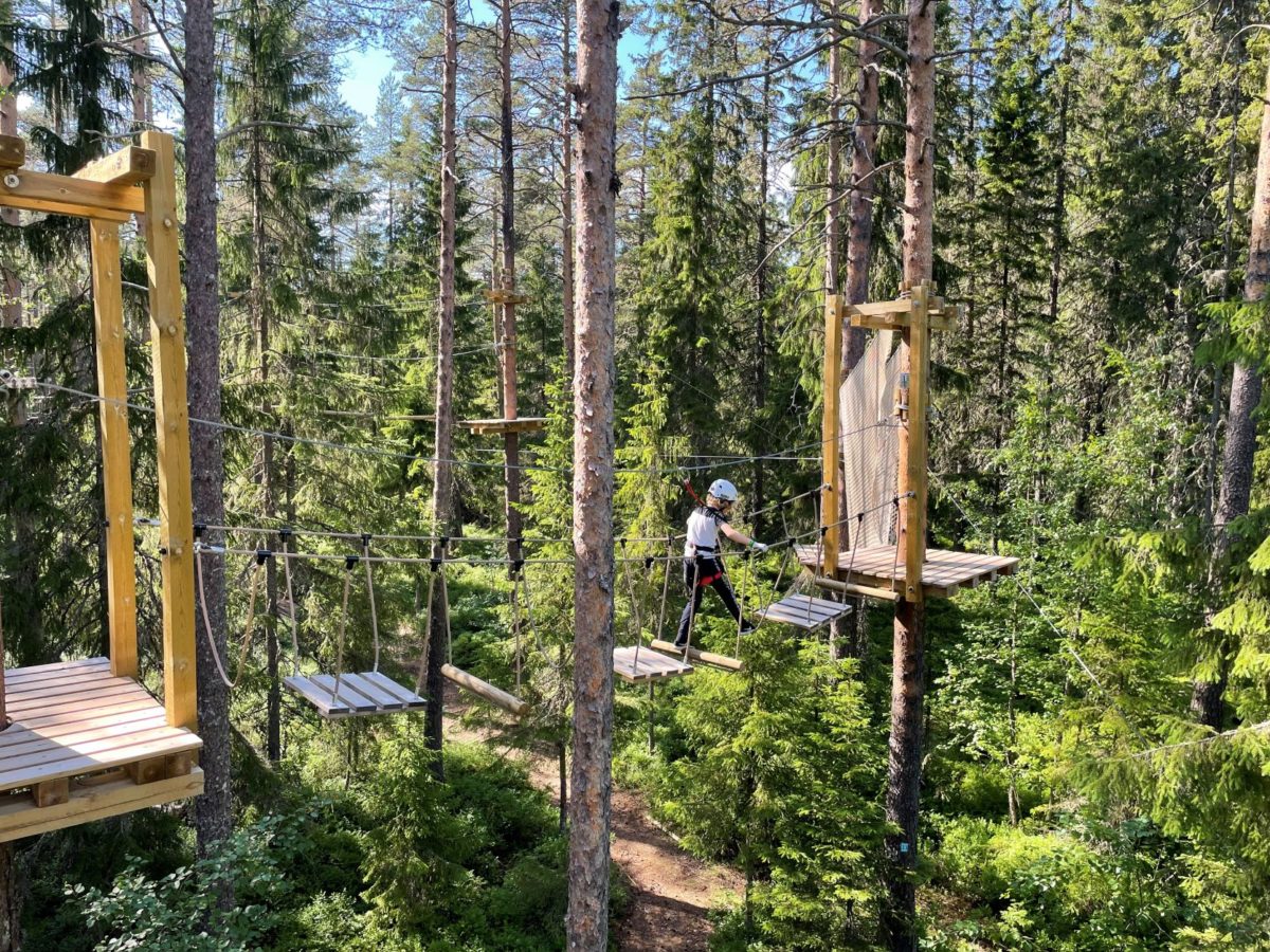 Upptäck apan inom dig! – Zip adventure park i Umeå