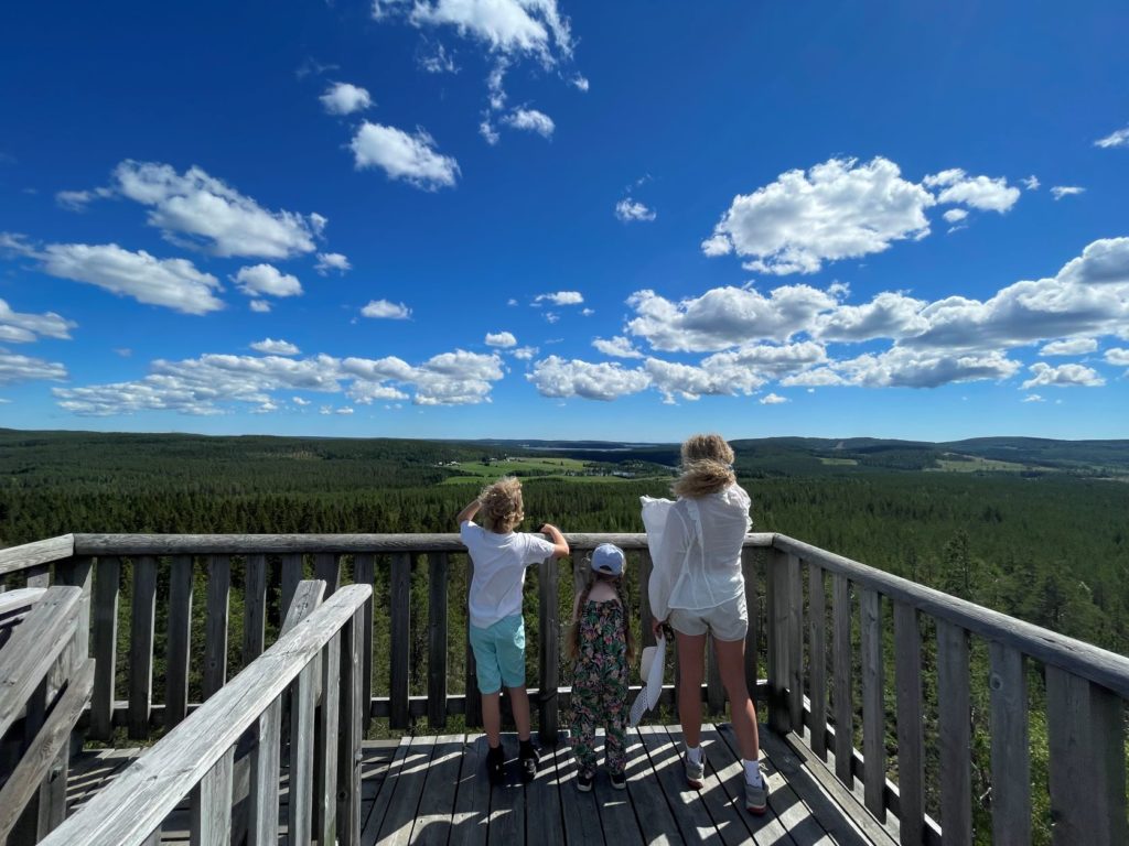 Selsknösens utkikstorn