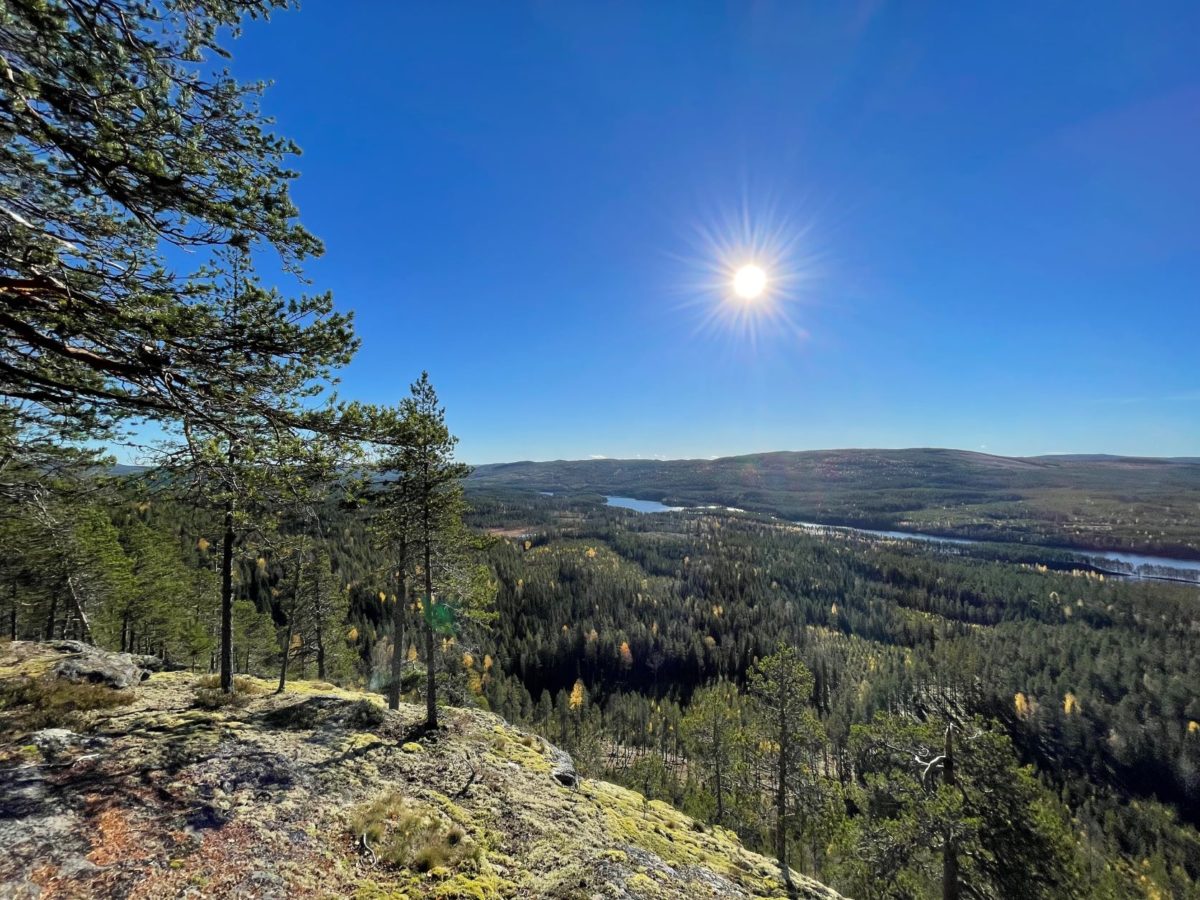 Vandring vid Käringberget i Västerbotten