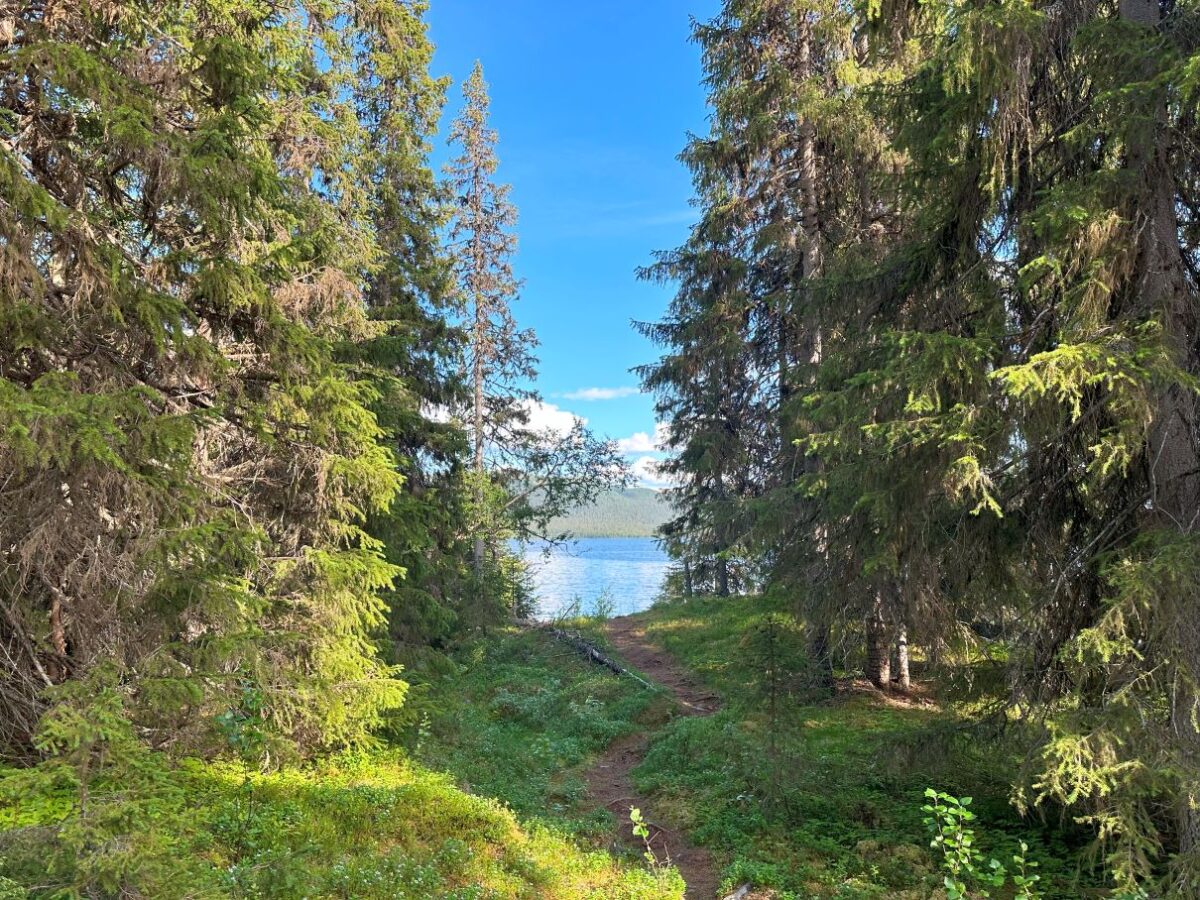 Vad att göra i Saxnäs - Ävenflykter