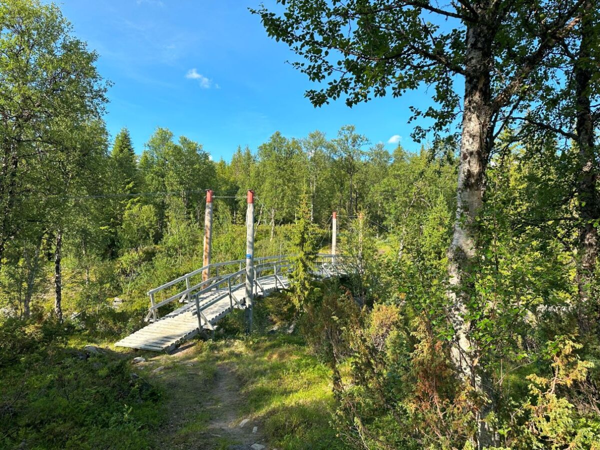 Vad att göra i Saxnäs - Ävenflykter