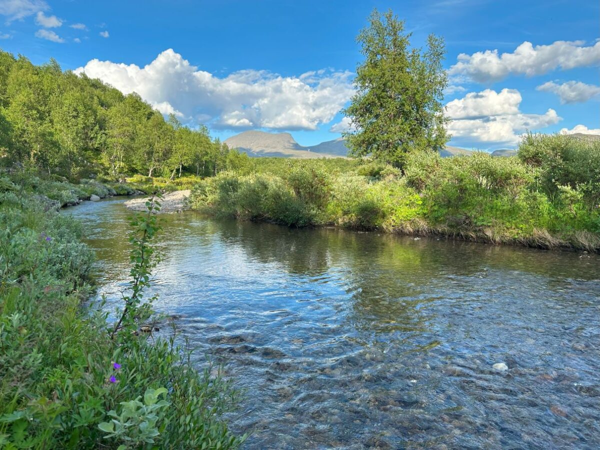 Vad att göra i Saxnäs - Ävenflykter