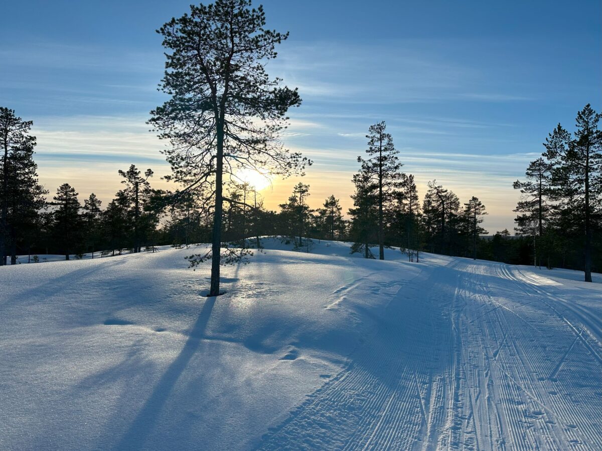Vinteraktiviteter för hela familjen vid Ålidberget, Nordmaling. Välj mellan slalom, längdskidor eller en vintertur till en mysig stuga