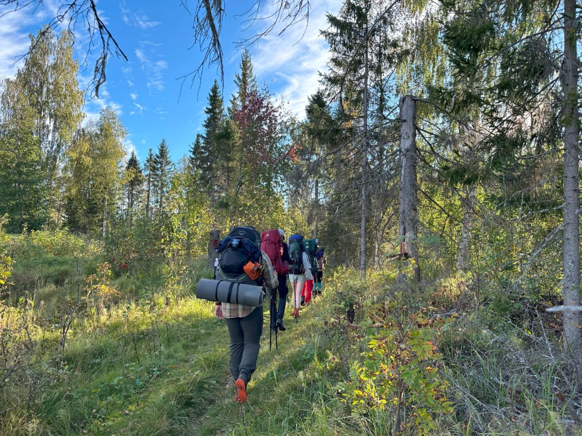 En ljuvlig 2-dagars vandring längs Öreälvsleden: från Bjurholm till Tallbergsbroarna 