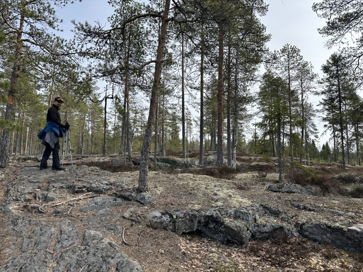 vandra tavelsjöleden