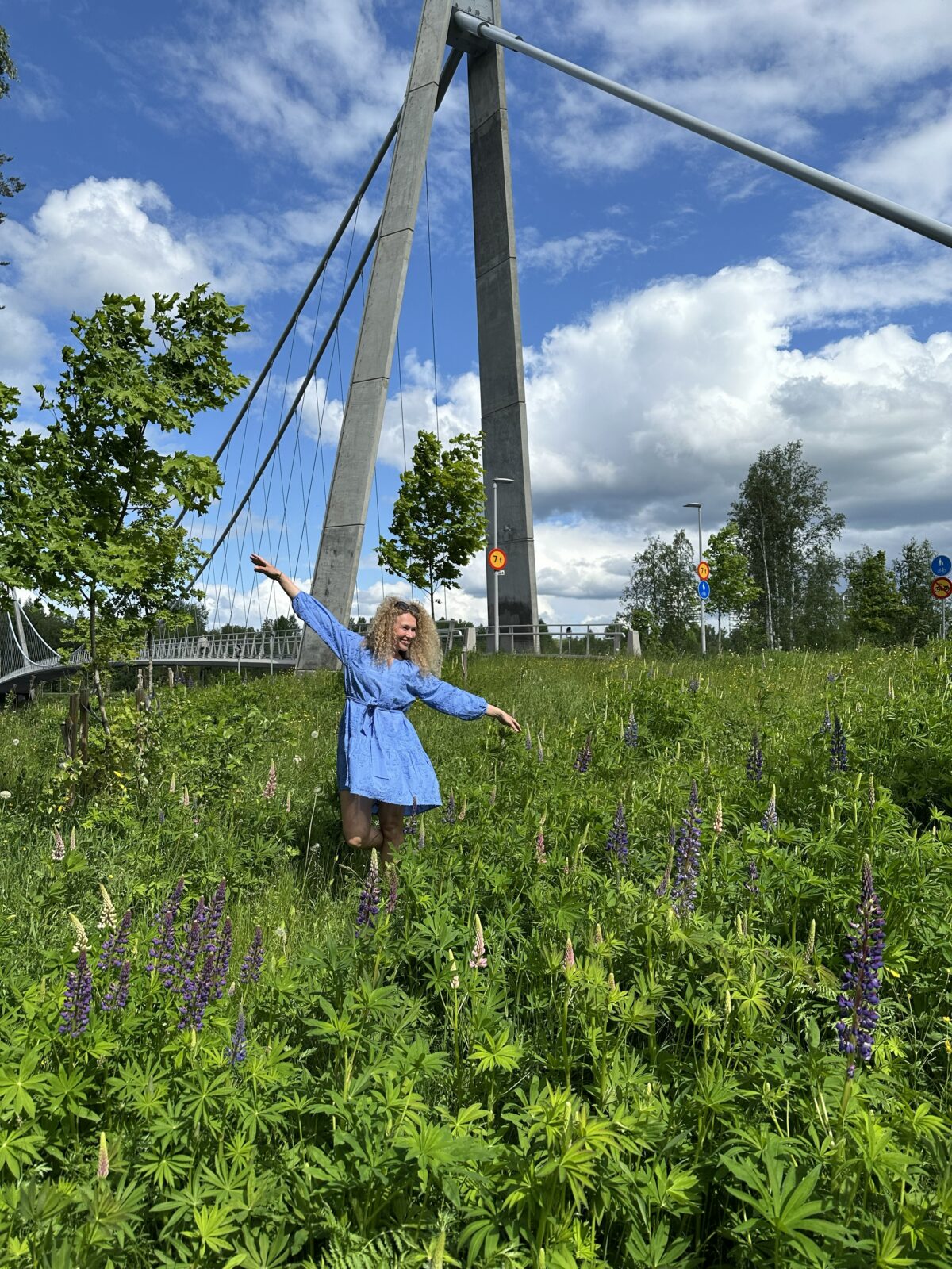 bölesholmarna i umeå