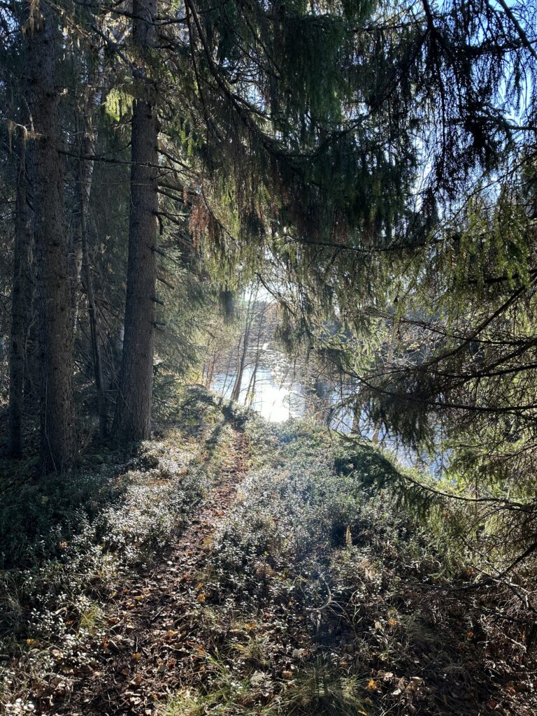 Lögdeälvsleden