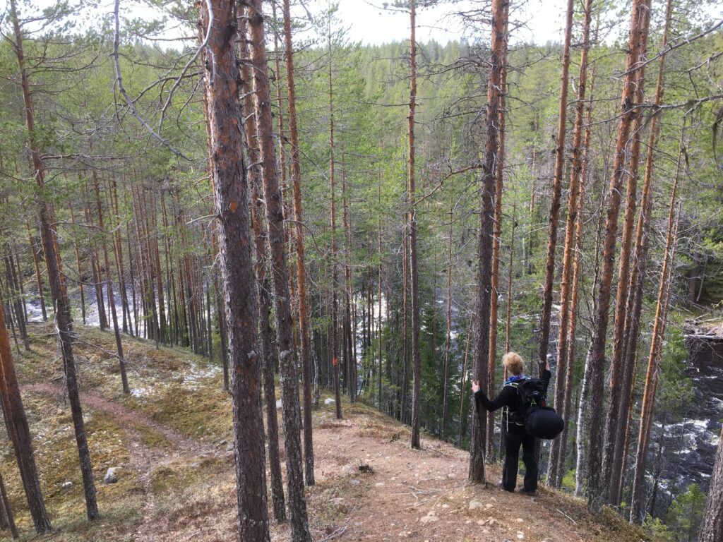 Lögdeälvsleden-åsar