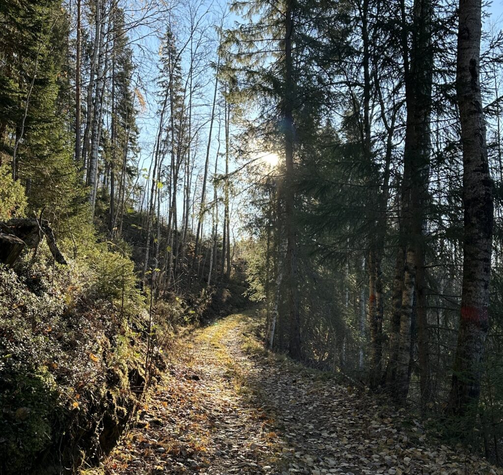 Lögdeälvsleden är vacker