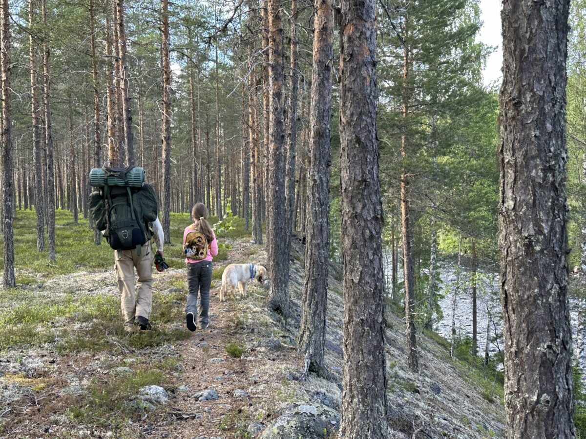 Vandra Lögdeälvsleden – komplett guide med karta, etapper och praktiska tips