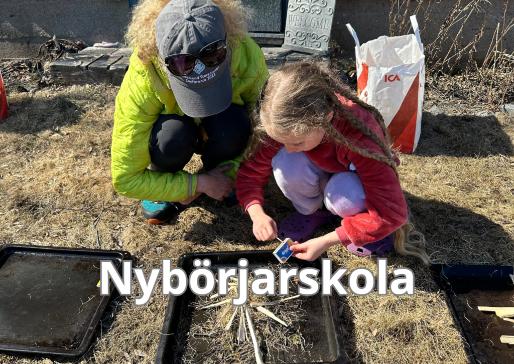 Nybörjarskola