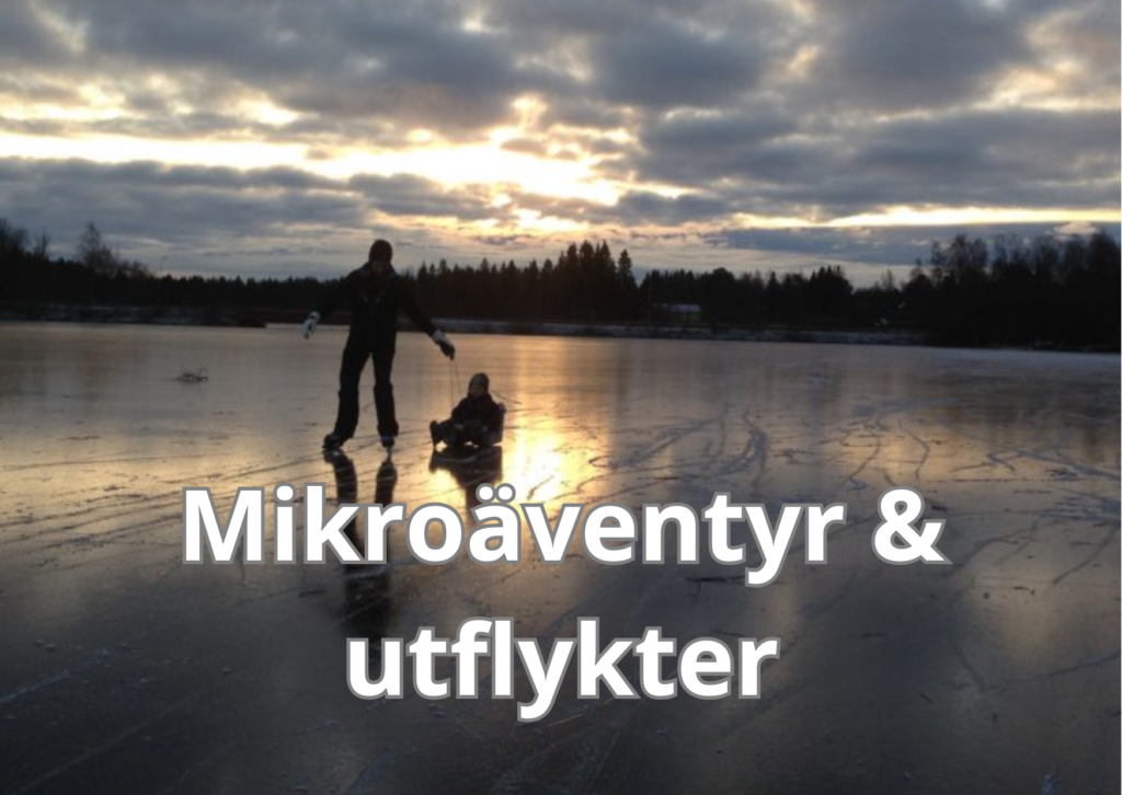 mikroäventyr
