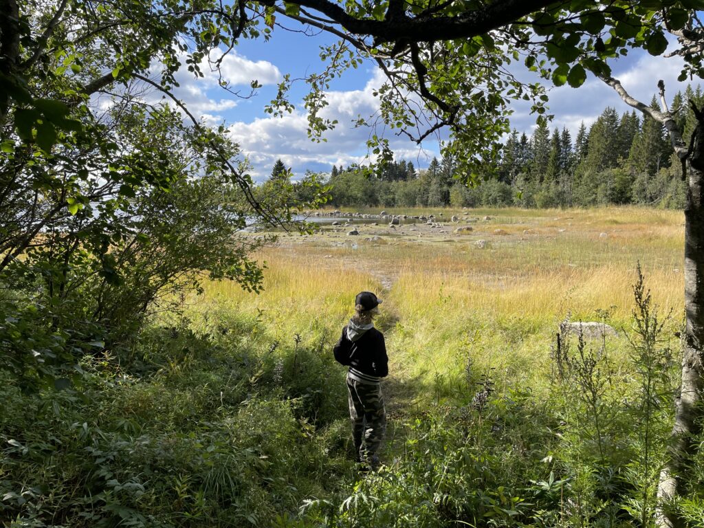 vandring omkring Umeå