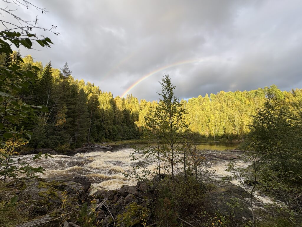 lögdeälvsleden fors