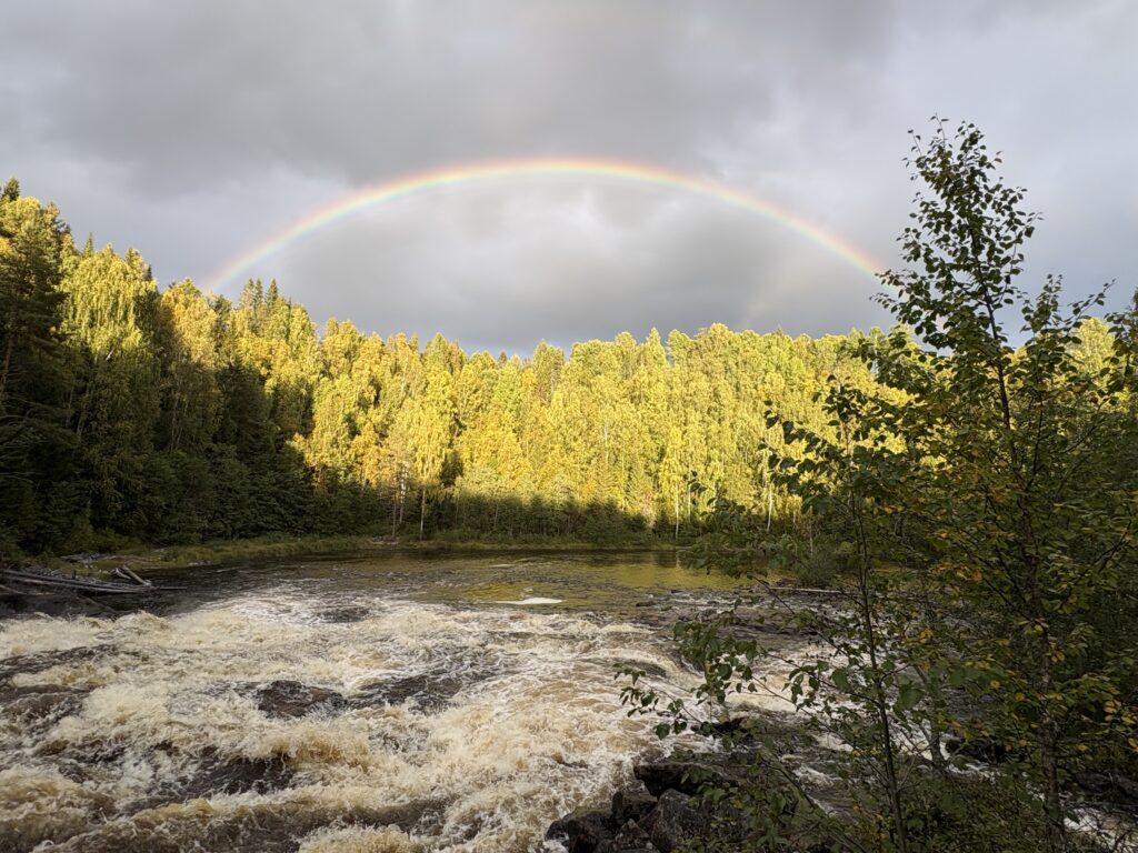 Fällforsen Lögdeälven
