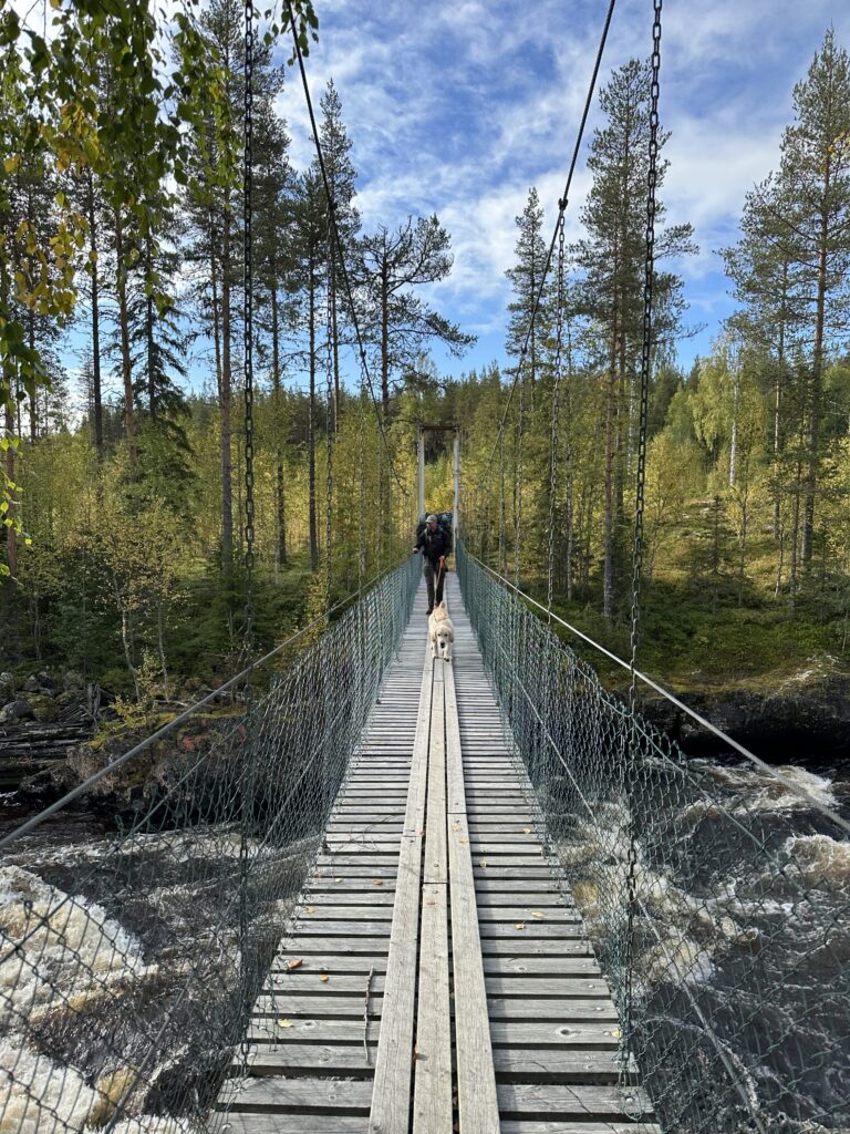 Fällforsen Lögdeälven