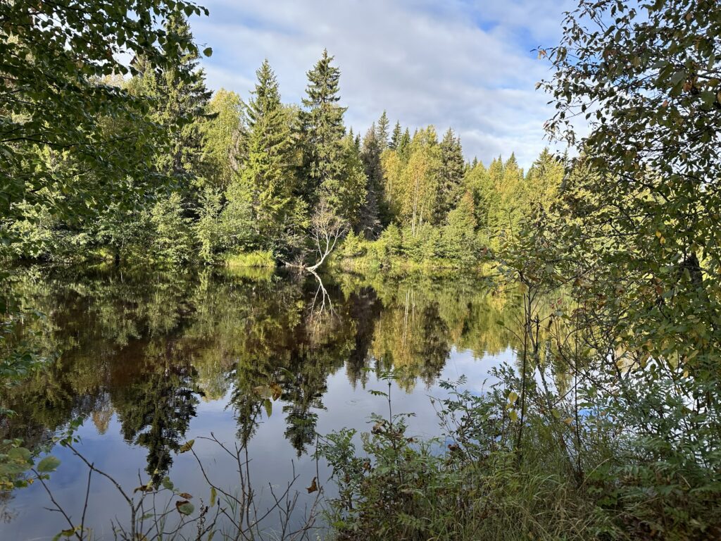 lögdeälvsleden