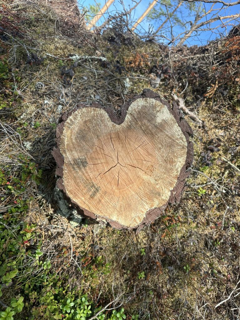 naturen Tvåälvsleden