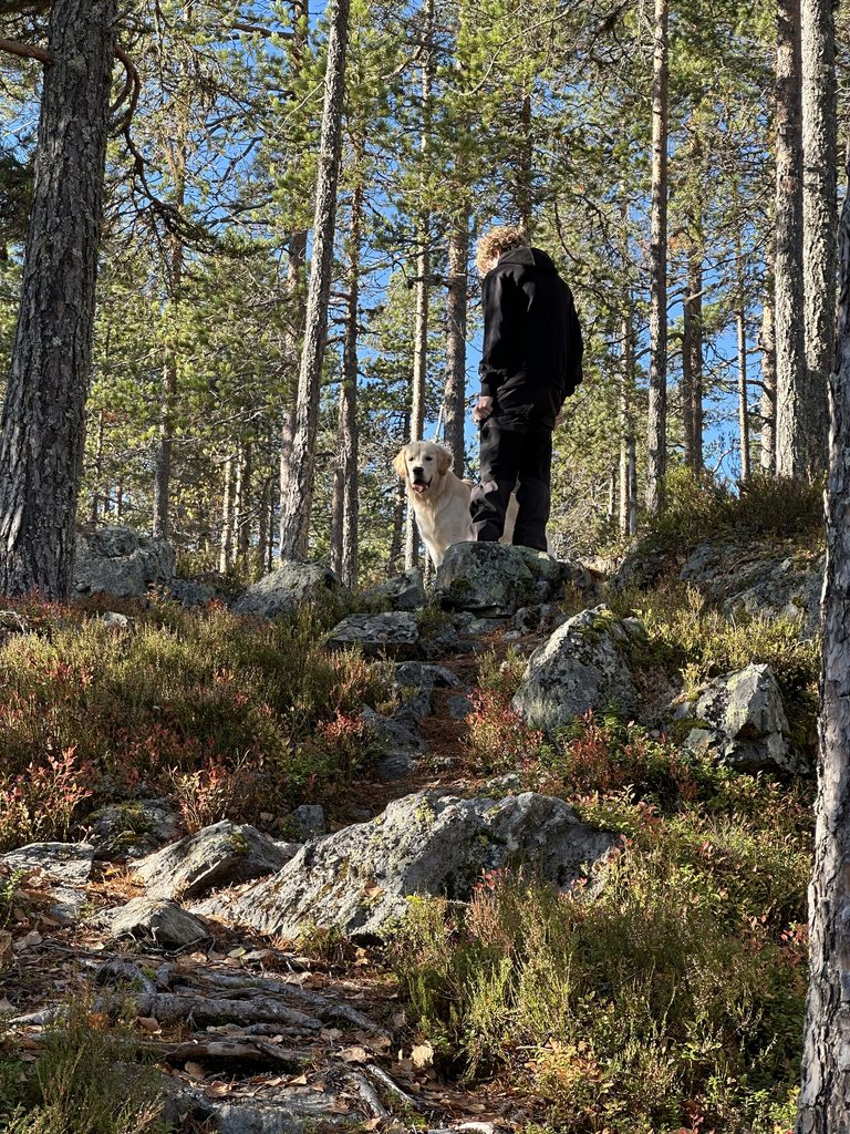 Blomåkersberget vandra