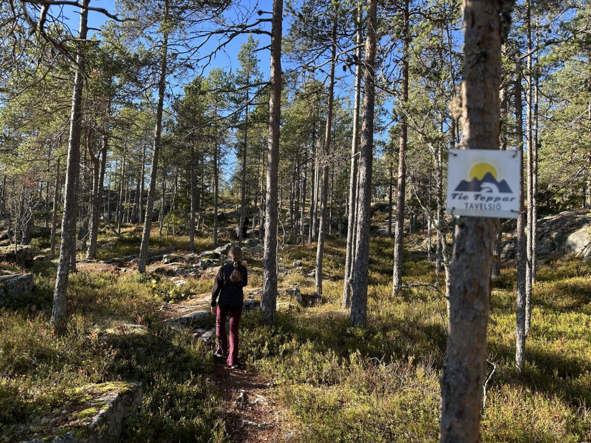 10 toppar tavelsjö