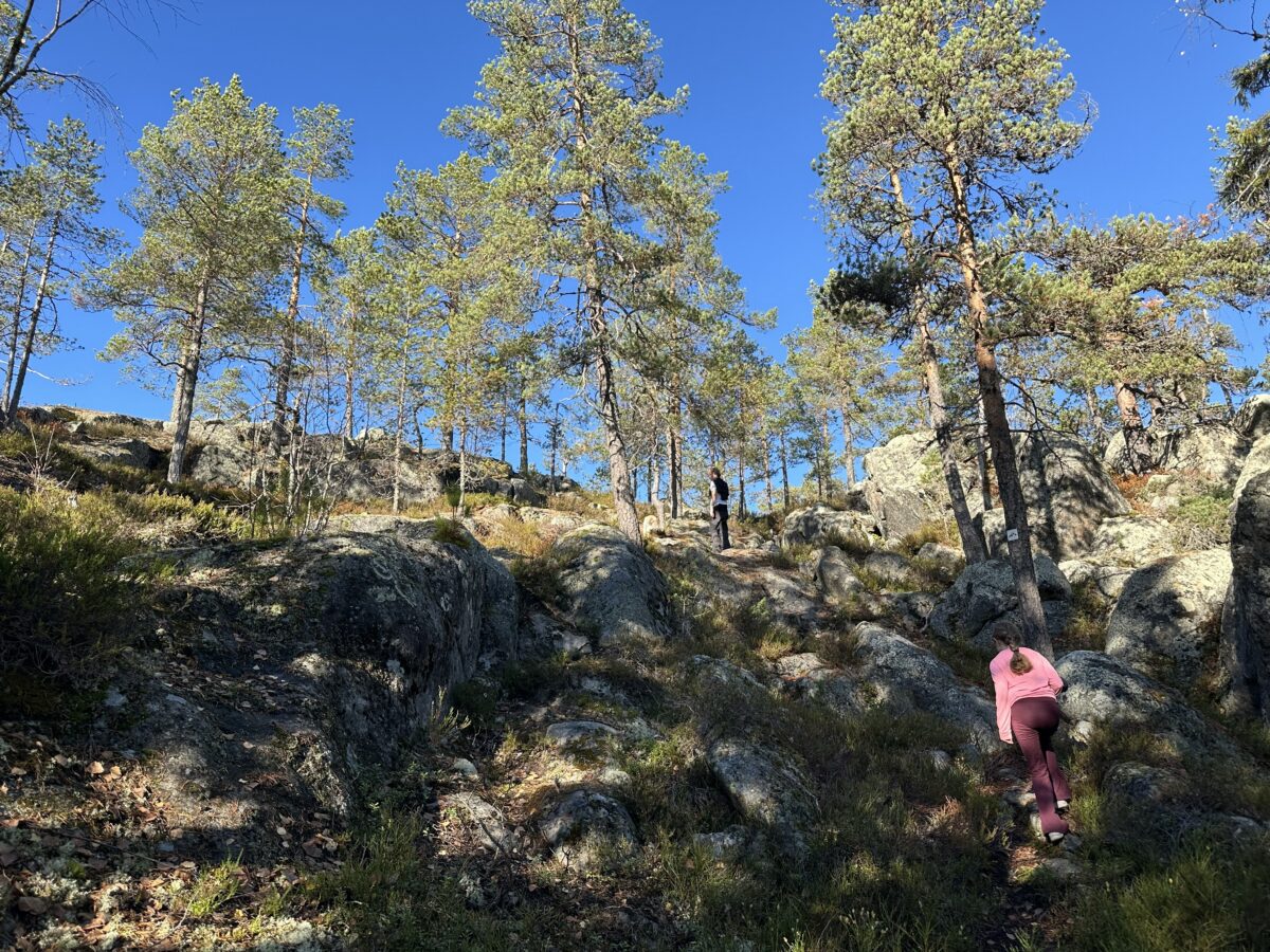 Blomåkersberg vandra