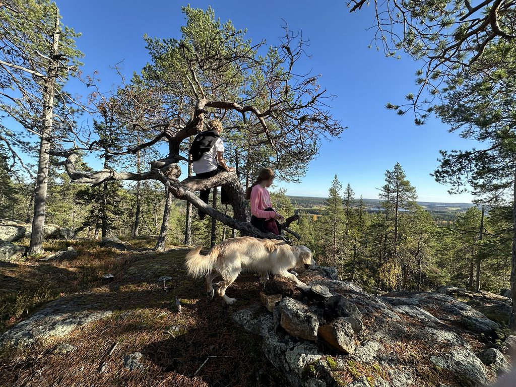 blomåkersberget vandra