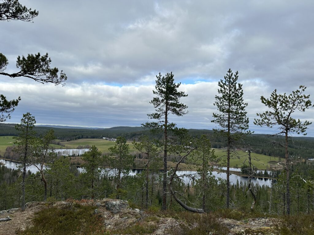 vandring Tavelsjö