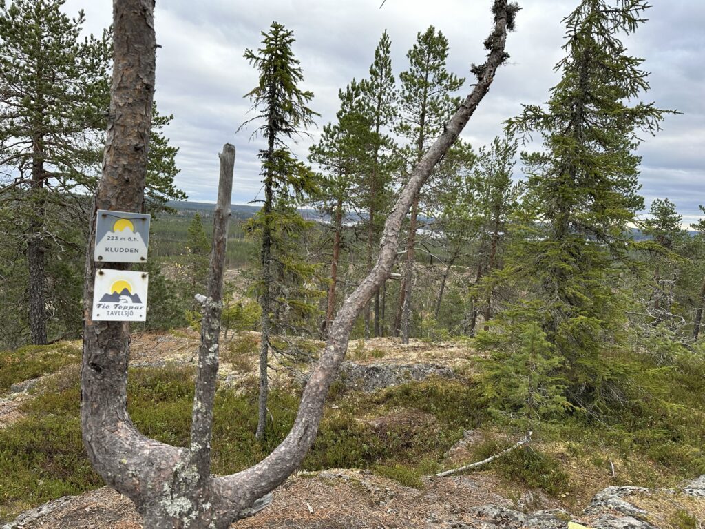 vandring Tavelsjö