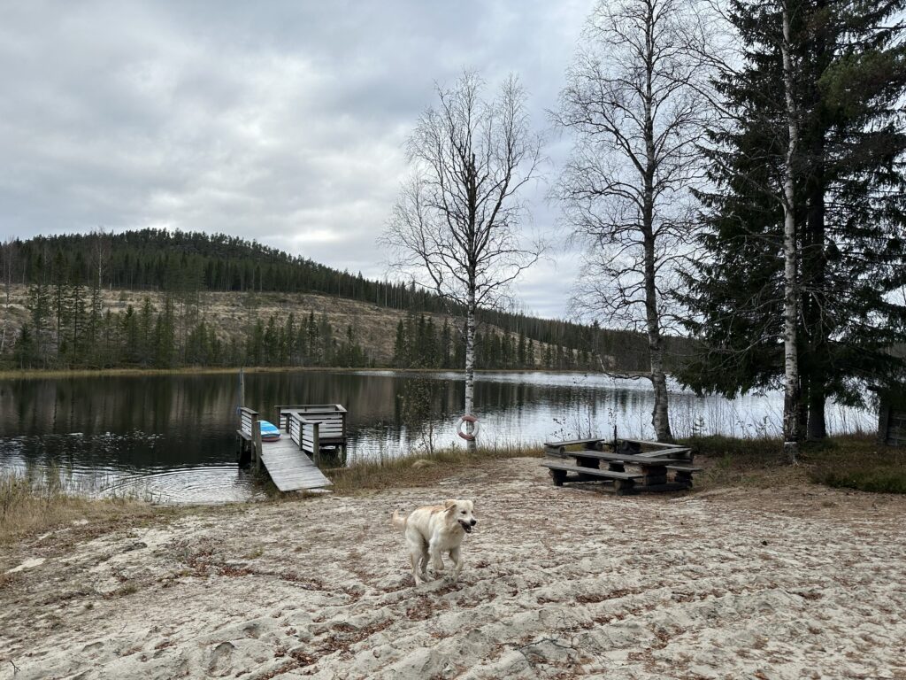vandring Tavelsjö