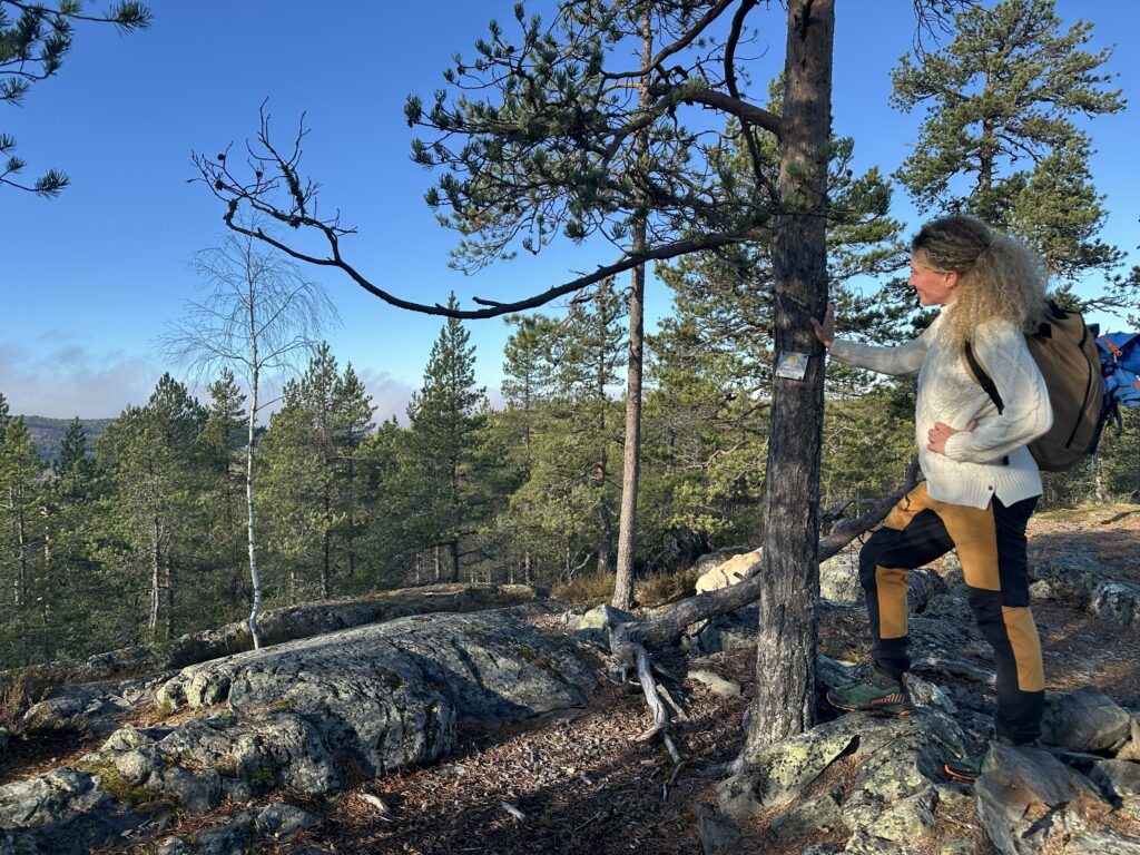utsikt vandring berg kvinna