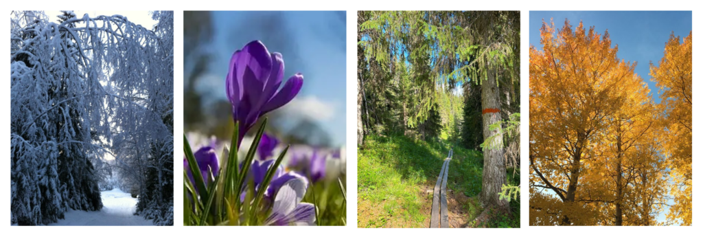 årstider i Umeå